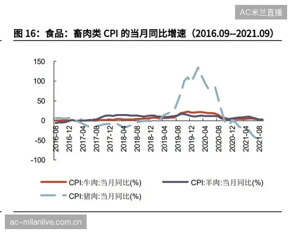 老鹰防守策略：如何把外围收缩转化为有效抢断